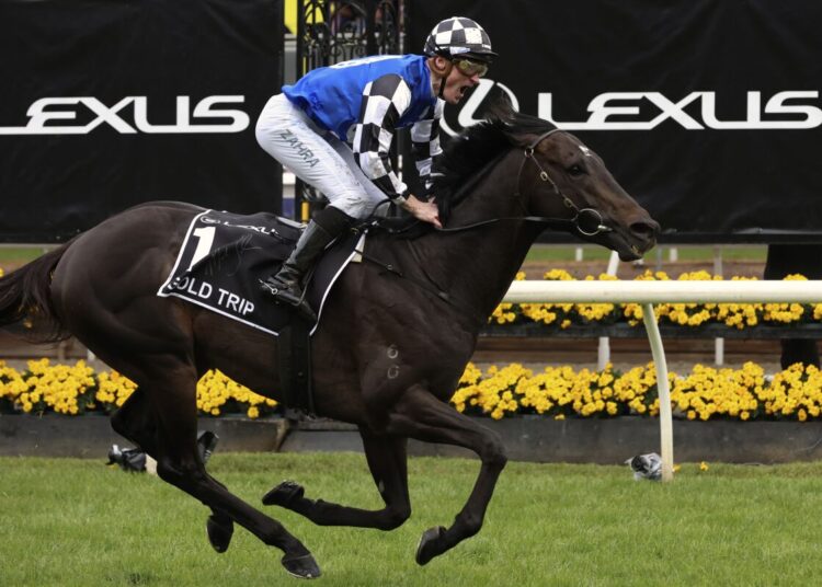 Gold Trip wins the 2022 Melbourne Cup 1 - Egyptian Gazette Gold Trip ridden by Mark Zahra wins the Melbourne Cup horse race in Melbourne, Australia, on Tuesday, Nov. 1, 2022.
