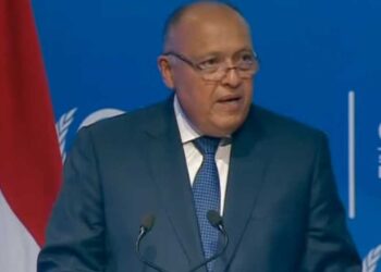 Egypt officially receives presidency of COP 27