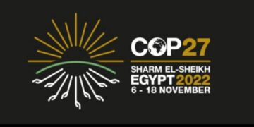 UNFCCC secretary: 110 heads of state, government participate in COP27