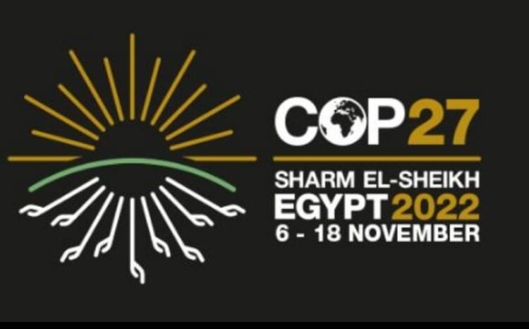 UNFCCC secretary: 110 heads of state, government participate in COP27 1 - Egyptian Gazette