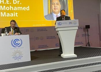 Finance min. says targeting soft mechanisms to cut cost of green finance for African states