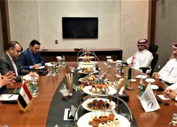 Egypt, Saudi Arabia probe mechanisms to achieve industrial integration