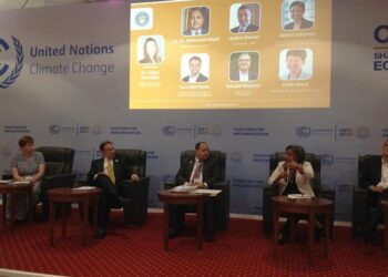 Egypt ranked 4th in Africa on realising sustainable development goals – Min.