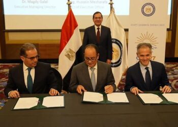 Egypt inks 7 carbon-cutting deals with global companies at COP27
