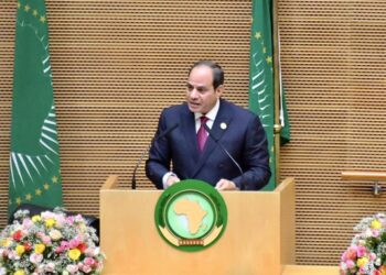 Sisi: Egypt exerts sincere efforts to back peace, stability in Africa