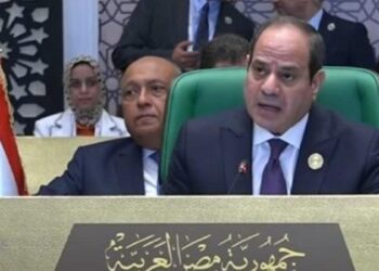 Sisi: Egypt ready to support Libya’s security, stability