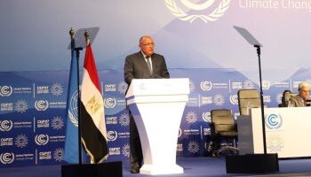 Shoukry elected as COP27 president