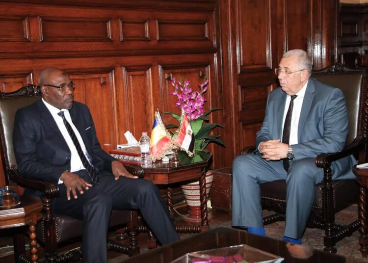 Working with Chad to promote agriculture 1 - Egyptian Gazette
