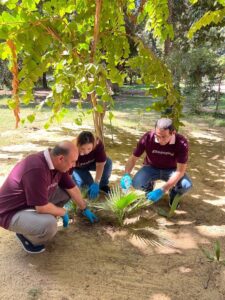 Conrad Cairo Hotel launches afforestation move within "Go Green" initiative 13 - Egyptian Gazette