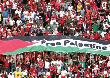 Egypt marks Int’l Day of Solidarity with Palestinian People