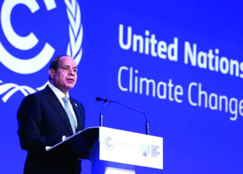 Sisi: Effective, equitable climate action ‏conducive to better life, development