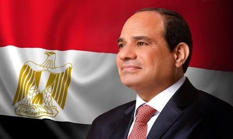 Sisi back home after taking part in World Cup opening in Qatar 1 - Egyptian Gazette