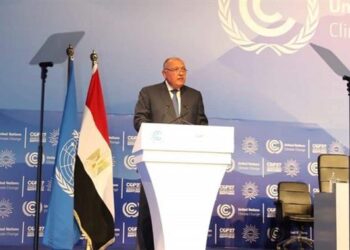 Foreign Ministry: COP27 agenda adopted