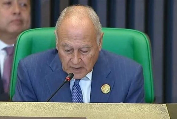 Abul Gheit: Arab states need help of int'l community to achieve sustainable food security 1 - Egyptian Gazette