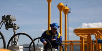 Europe urged to save natural gas to avoid shortage next year