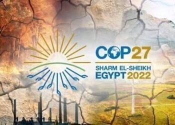 Call on UN to stop COP27 hijack 4 - Egyptian Gazette