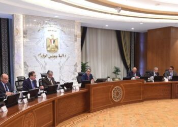 Cabinet okays establishing free zone for Forward Egypt company for sport industries