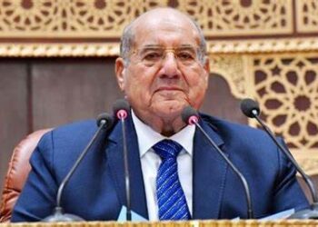 Egypt, Uzbekistan confer on boosting parliamentary ties
