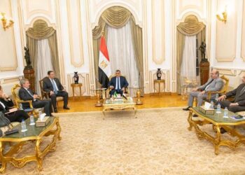 Egypt, Italy discuss bilateral co-operation