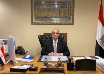 Egyptian diplomat to MENA: Egypt plays crucial role in issues of concern to Mediterranean Basin