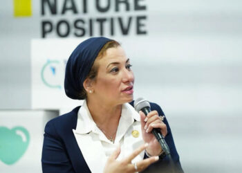Env. minister to MENA: ‘Financing Day’ cornerstone to meeting climate pledges- Fouad