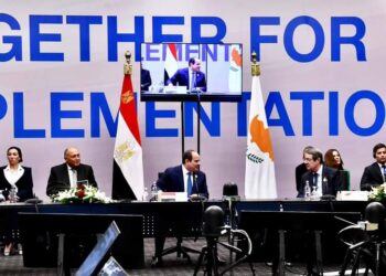 President Sisi: We will work on combating climate change