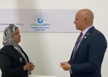 Developed countries have to meet their pledges – UNECA official