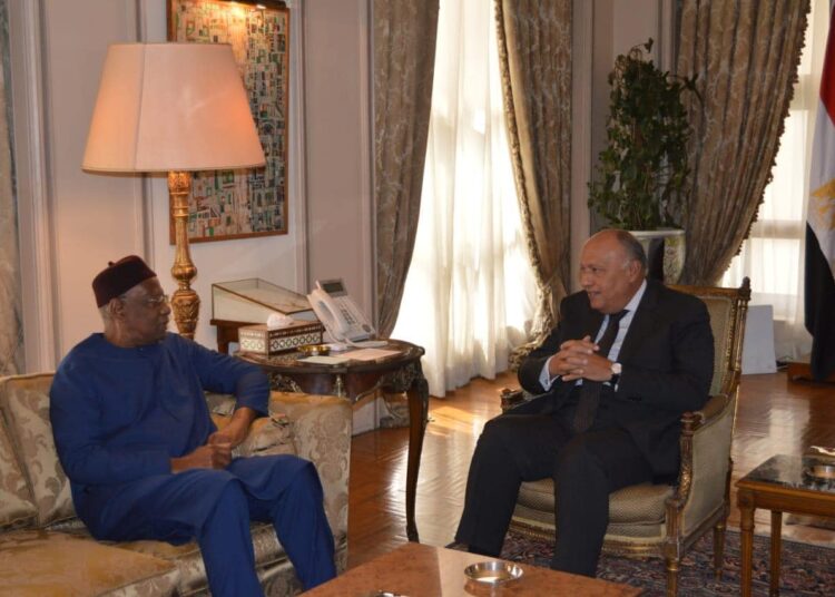 Egypt FM stresses UN's role in supporting political process in Libya 2 - Egyptian Gazette Egypt FM stresses UN's role in supporting political process in Libya 1 - Egyptian Gazette