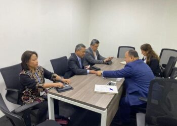 ‘COP27chance to shed light on economic situation of developing countries’