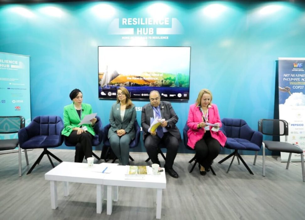 Dr Mohieldin: Important role of art and media to raise awareness about climate issues 4 - Egyptian Gazette Dr Mohieldin: Important role of art and media to raise awareness about climate issues 3 - Egyptian Gazette