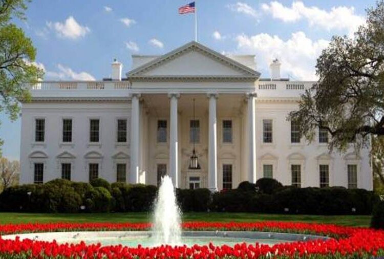 White House highlights Egypt’s NWFE programme – Min. 2 - Egyptian Gazette White House highlights Egypt’s NWFE programme – Min. 1 - Egyptian Gazette