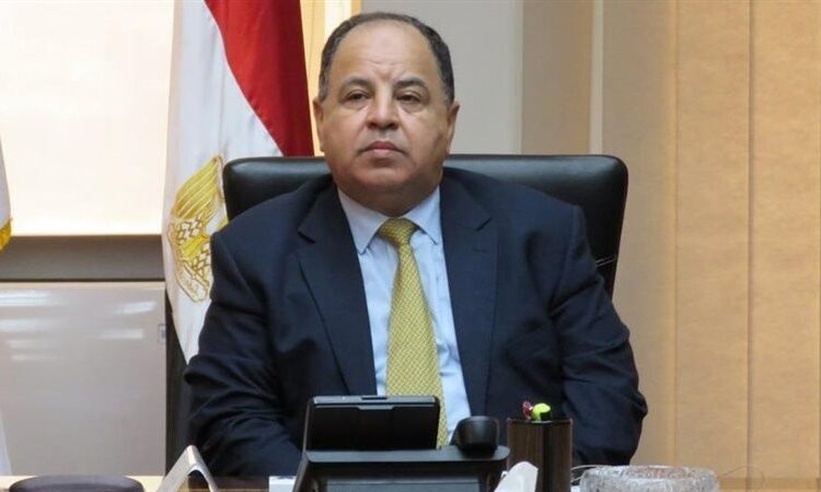 Maeet: 30,000 Egyptian expats regitered to import cars without customs in two weeks 1 - Egyptian Gazette
