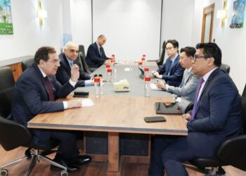 Egypt backs all investment from Malaysian oil firms