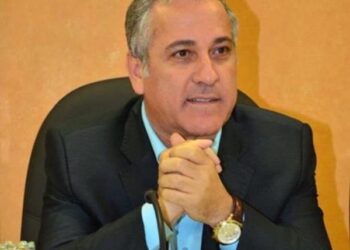 El-Shorbagi praises ‘professional’ media coverage of COP27