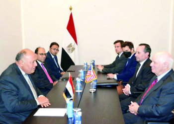 FM confers with US Senate delegation to COP27