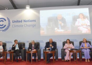 Shoukry: Energy sector is one of the most carbon-emitting sectors