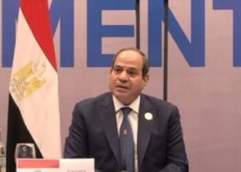 Sisi: Egypt was keen on joining EMME-CCI since its launch in 2019
