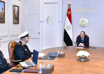 Sisi reviews efforts to promote military industrialisation
