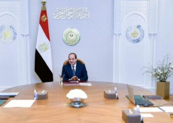 Sisi appreciates judges’ efforts to swiftly complete family court cases