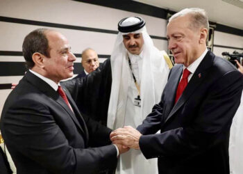 Egyptian, Turkish leaders agree to  start development of bilateral ties   