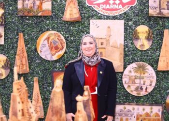 Social Solidarity showcases activities at Sharm conf.