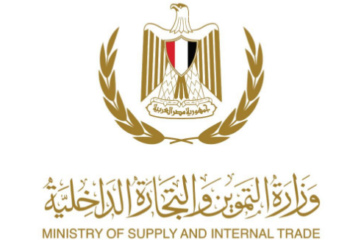 Supply Ministry: Russian wheat traded at EMX at LE9,750 per tonne