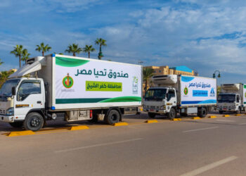 Tahya Misr Fund provides foodstuffs to 1,000 families in Kafr el Sheikh