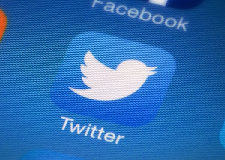 Musk `kills´ new Official verified labels on Twitter 1 - Egyptian Gazette Twitter’s lack of ID verification is likely to raise concerns about the possibility of people impersonating public figures.