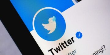 Twitter to hold off relaunching blue check verification
