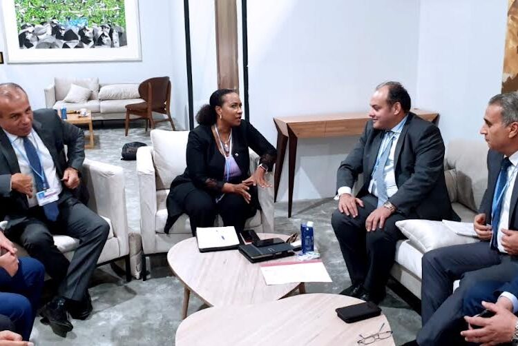 Egypt backs int'l efforts for women's empowerment, industrial development 1 - Egyptian Gazette