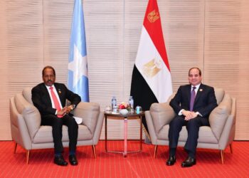 Sisi: Egypt ready to continue support for Somalia to consolidate state institutions