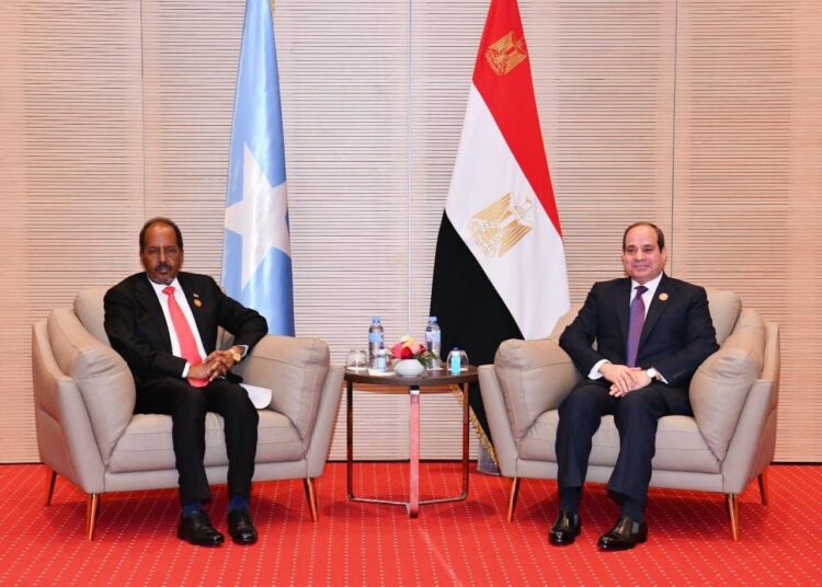 Sisi: Egypt ready to continue support for Somalia to consolidate state institutions 1 - Egyptian Gazette