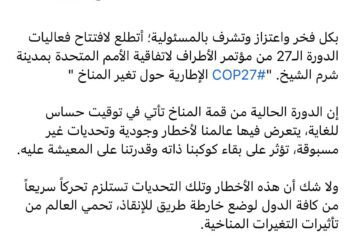 Sisi hopes COP27 climate conference come up with tangible results