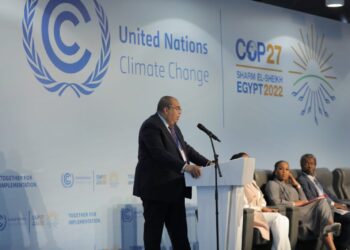 Africa Carbon Markets initiative launched